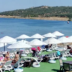 book here